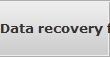 Data recovery for Palmer data
