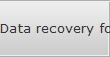 Data recovery for Palmer data